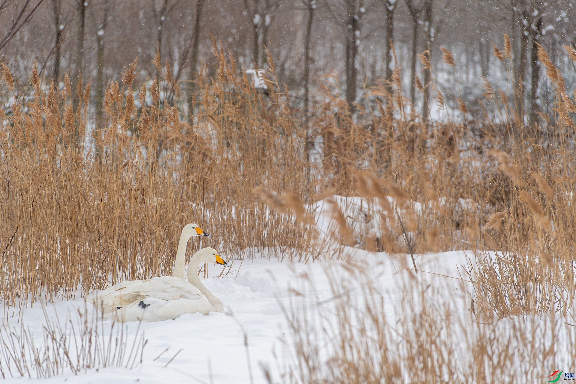 DSC_2770С��.jpg