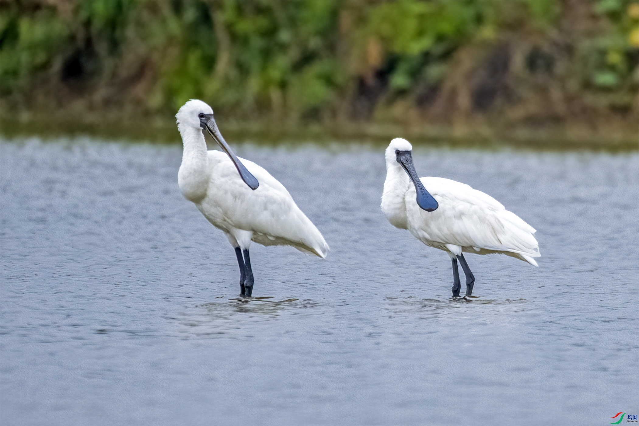 DSC_8654-1.jpg
