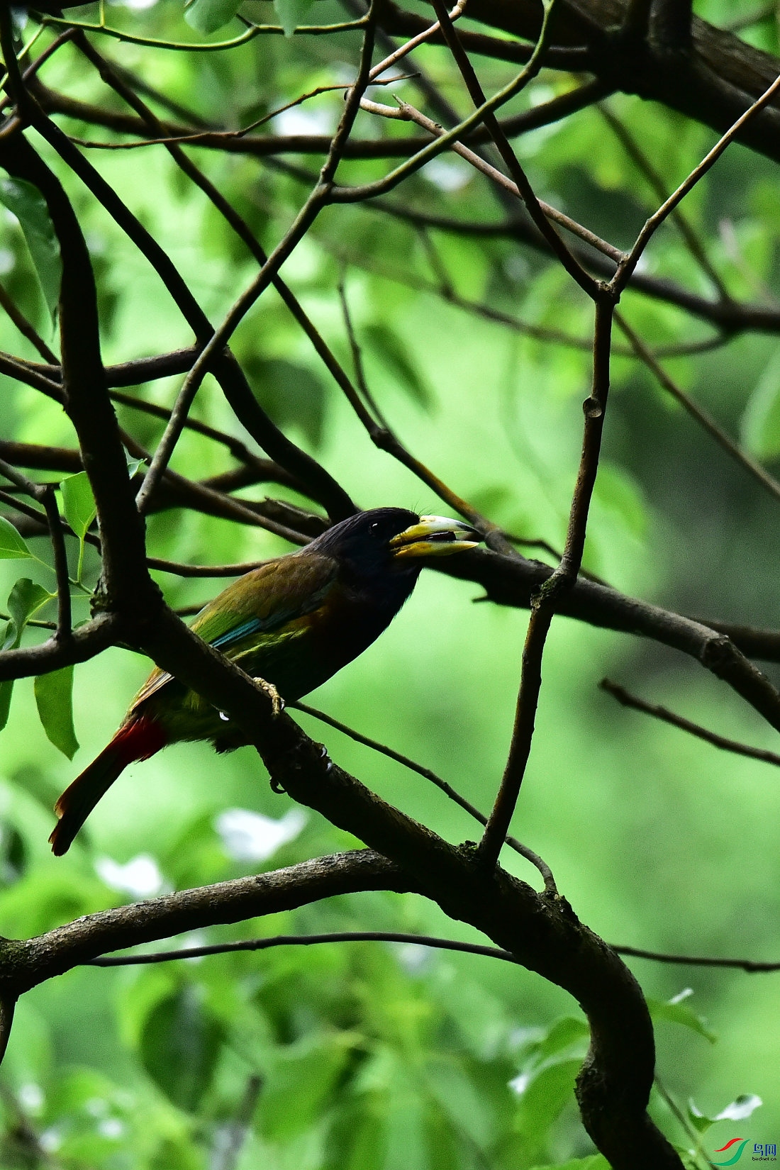 DSC_0607.JPG