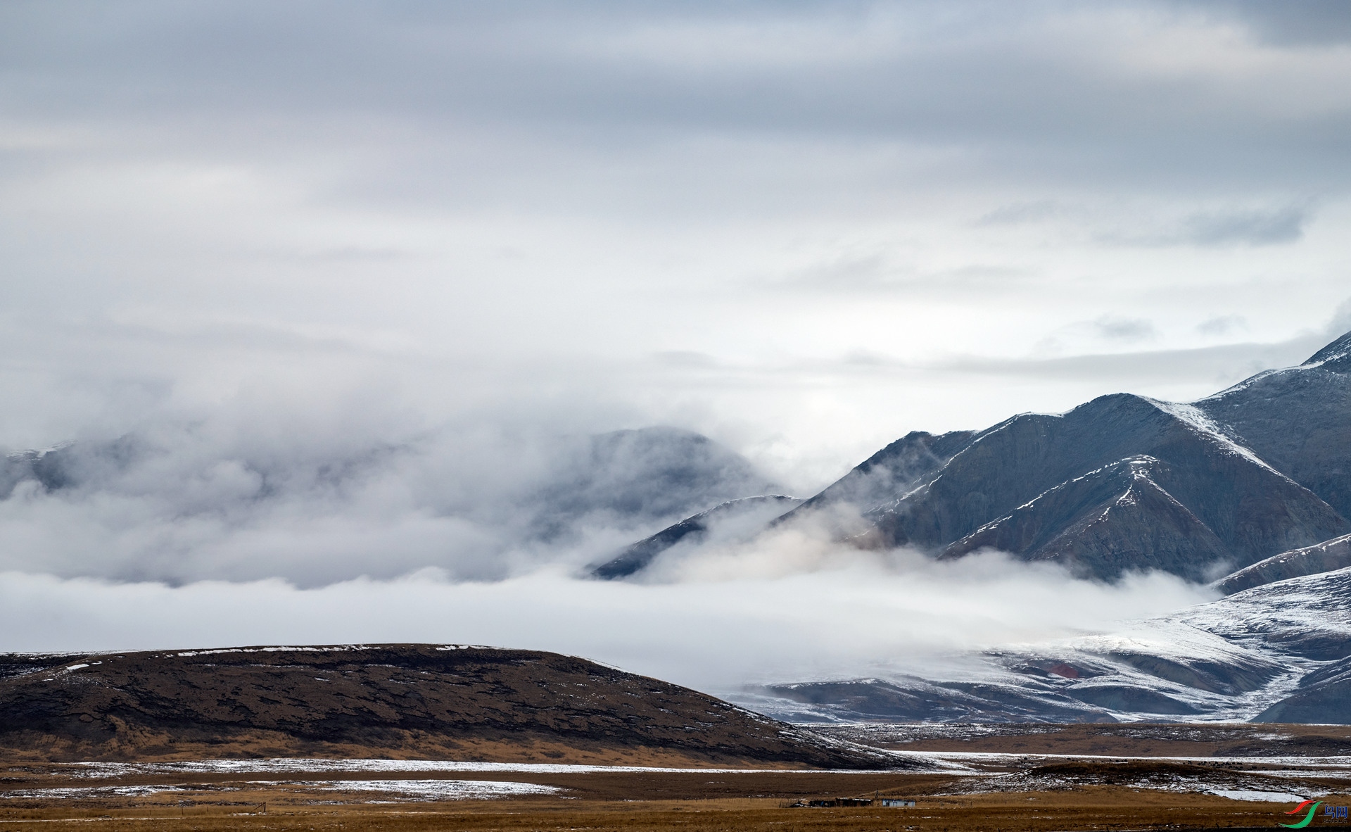 《冬日的泽库草原》