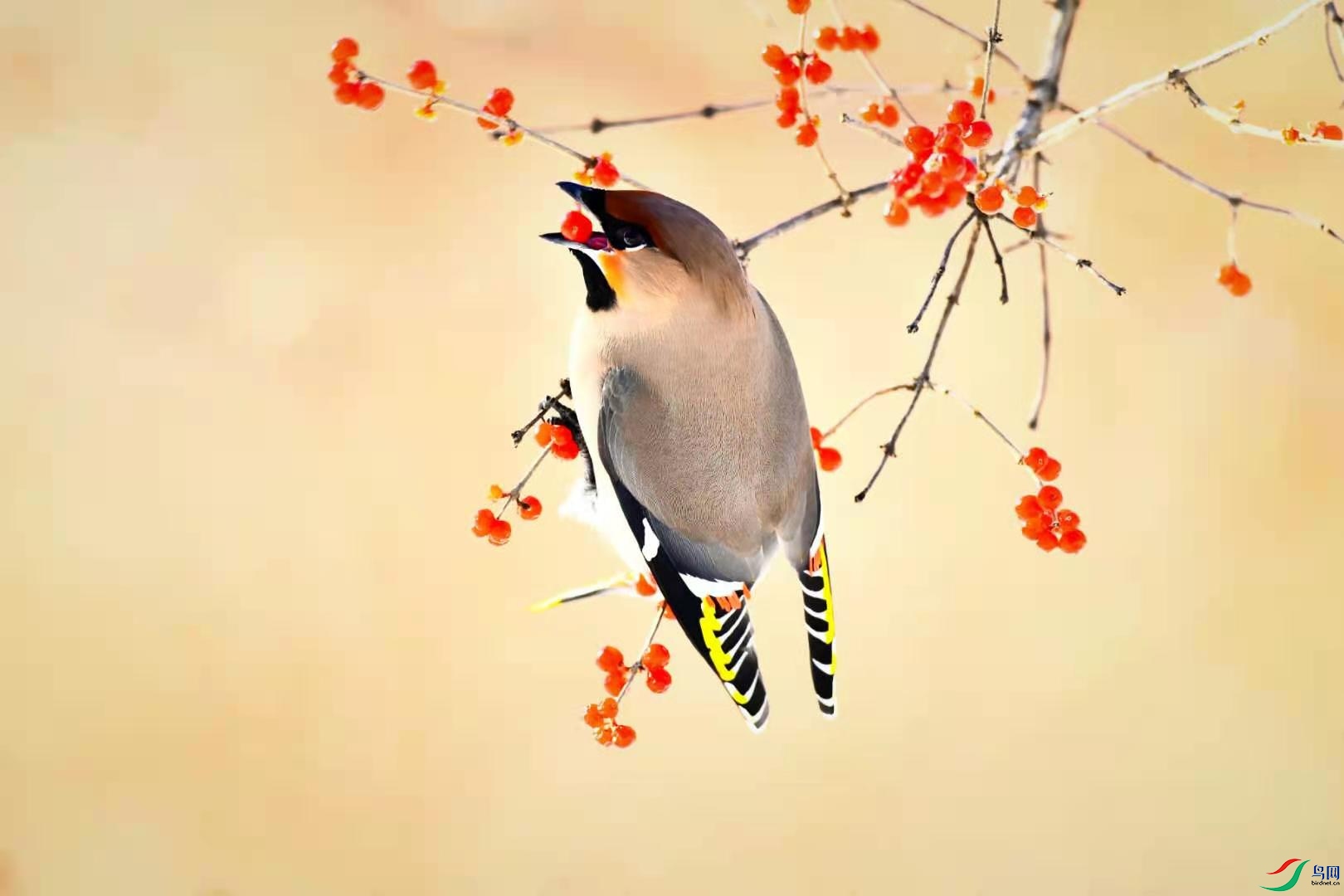 8ab8cca1c9faefba265e0c15f16b953.jpg