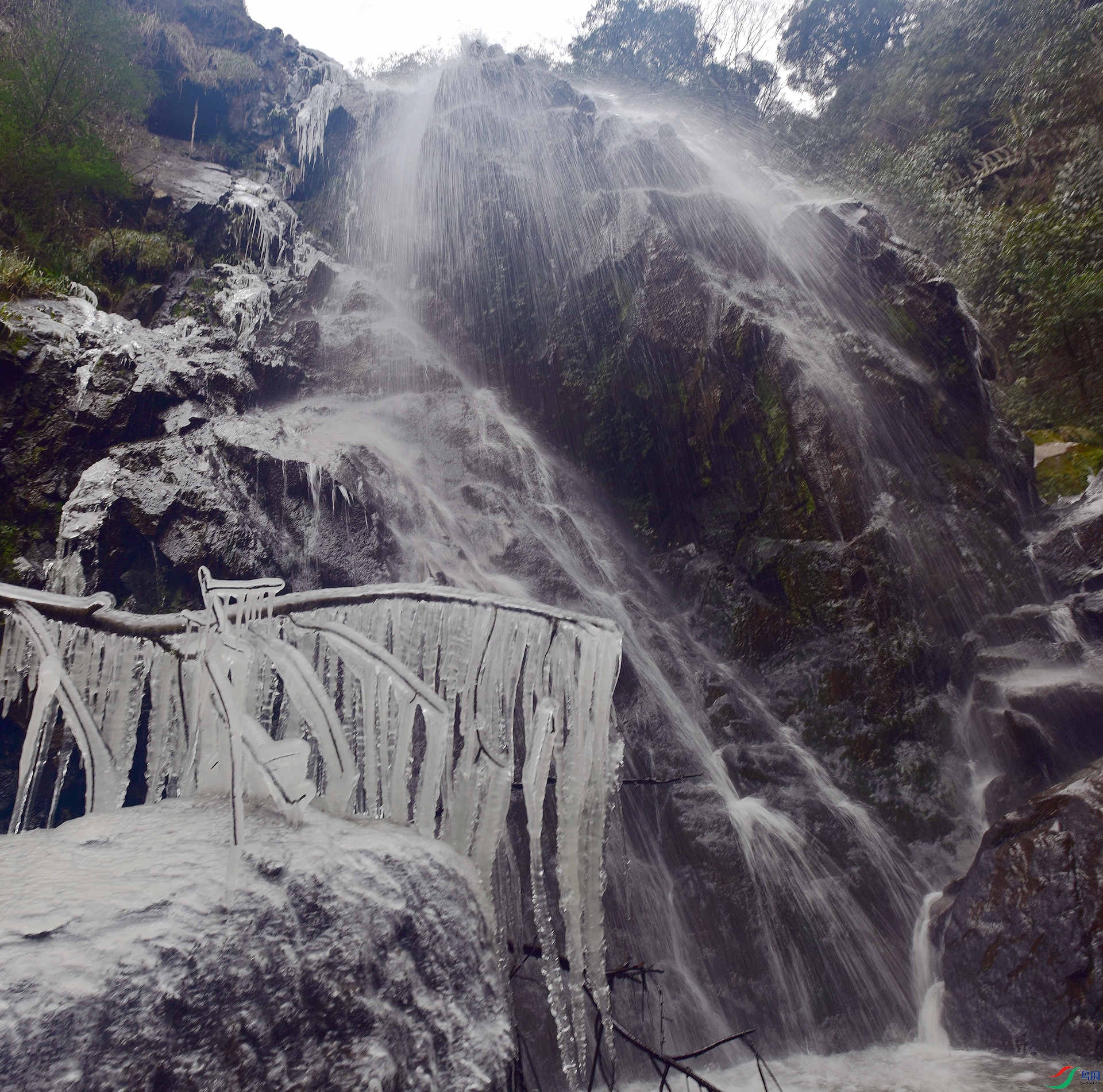 D8I_3985.jpg
