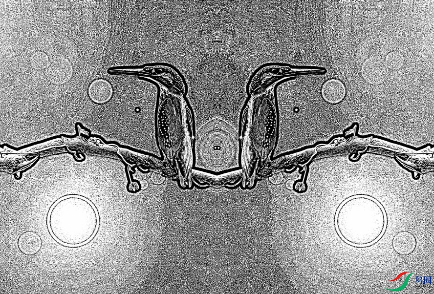BW6I1118_����_����1_����1_����.jpg