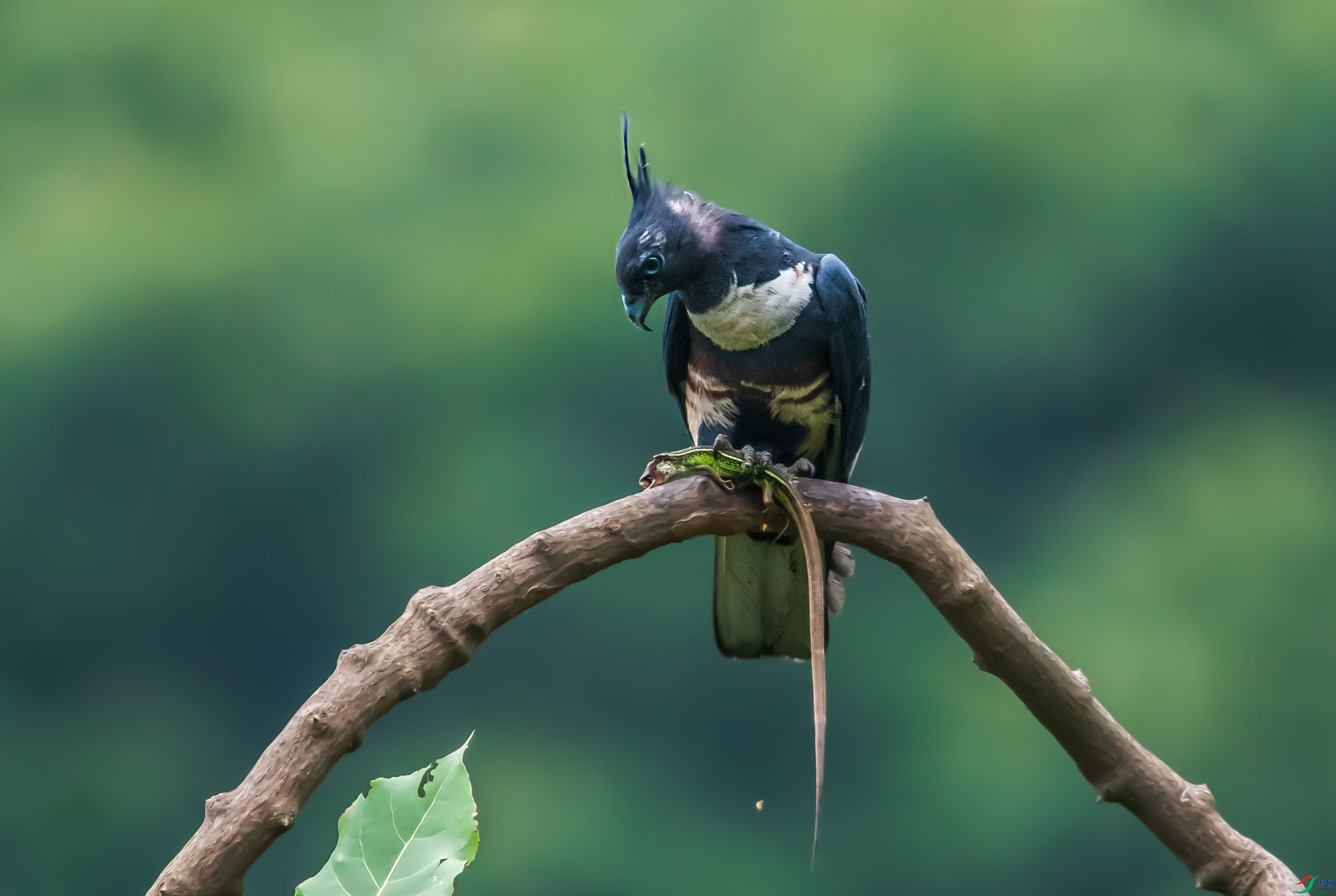 DSC_8634-1.jpg