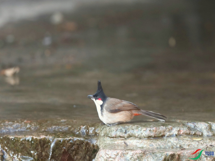 DSC20210111065.jpg