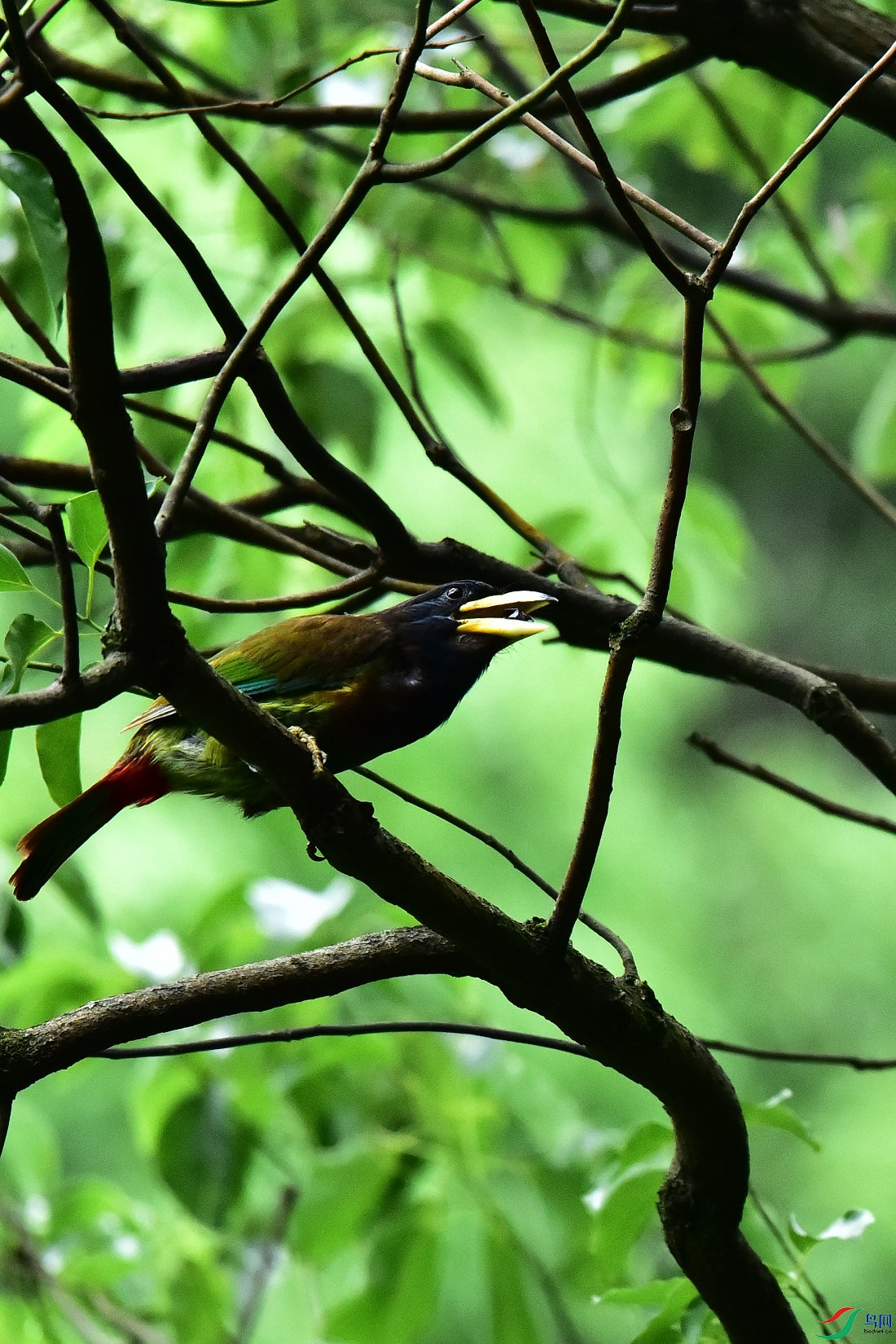 DSC_0611.JPG