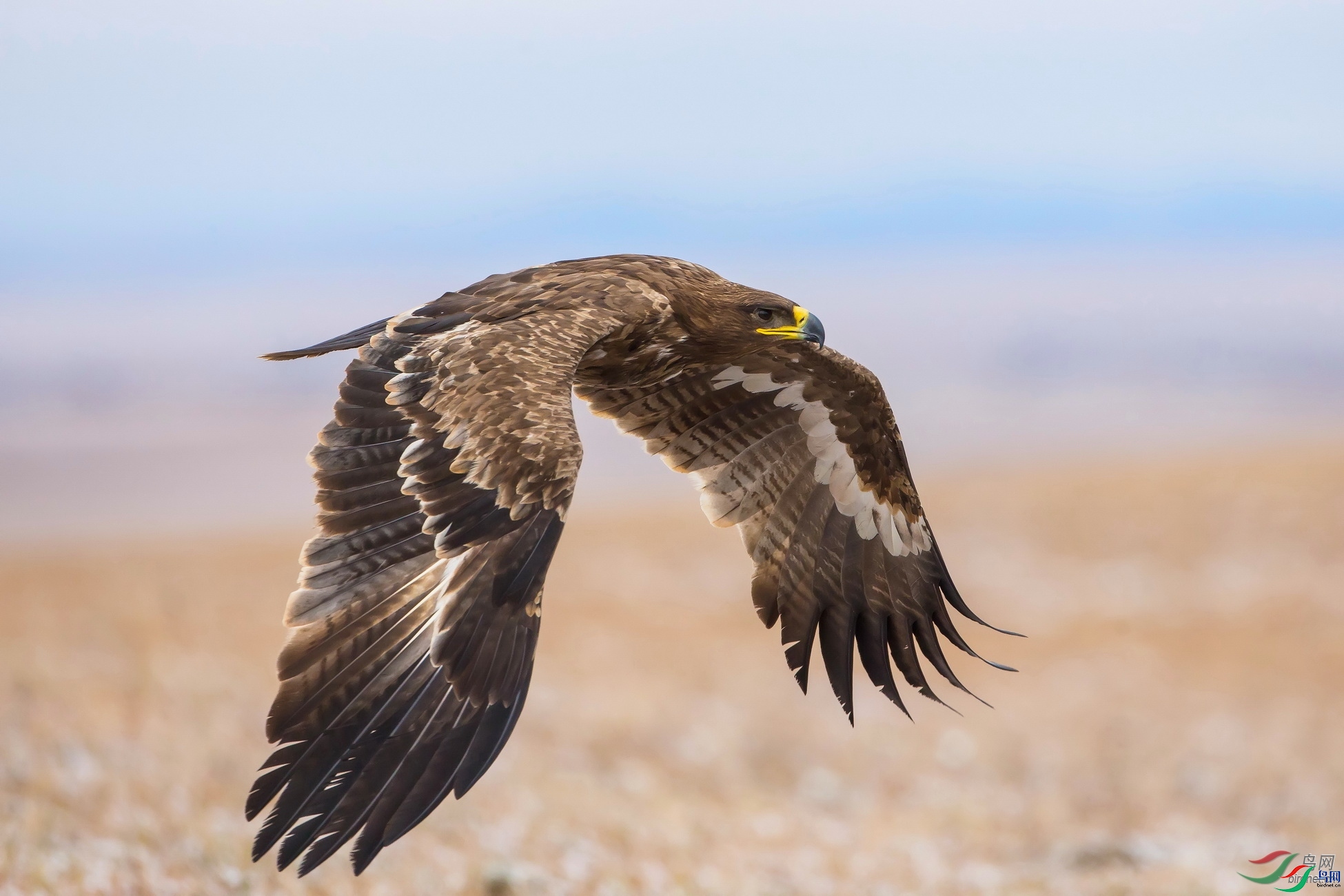 ��ʯ  ��ʦ���������ɹ�����������п�ʲ������.jpg