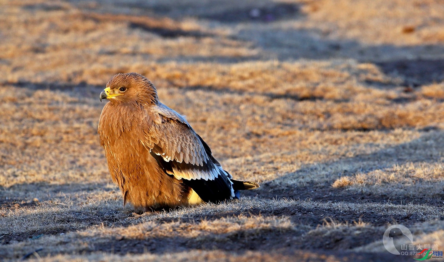 ɽ�������� ��ʦ�����Ĵ�ʡ���Ӳ���Ǽ��������0.jpg
