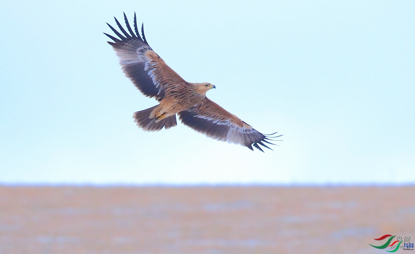 ЦЦ��ү ��ʦ���������ɹ�������������˹�ж��п���.jpg