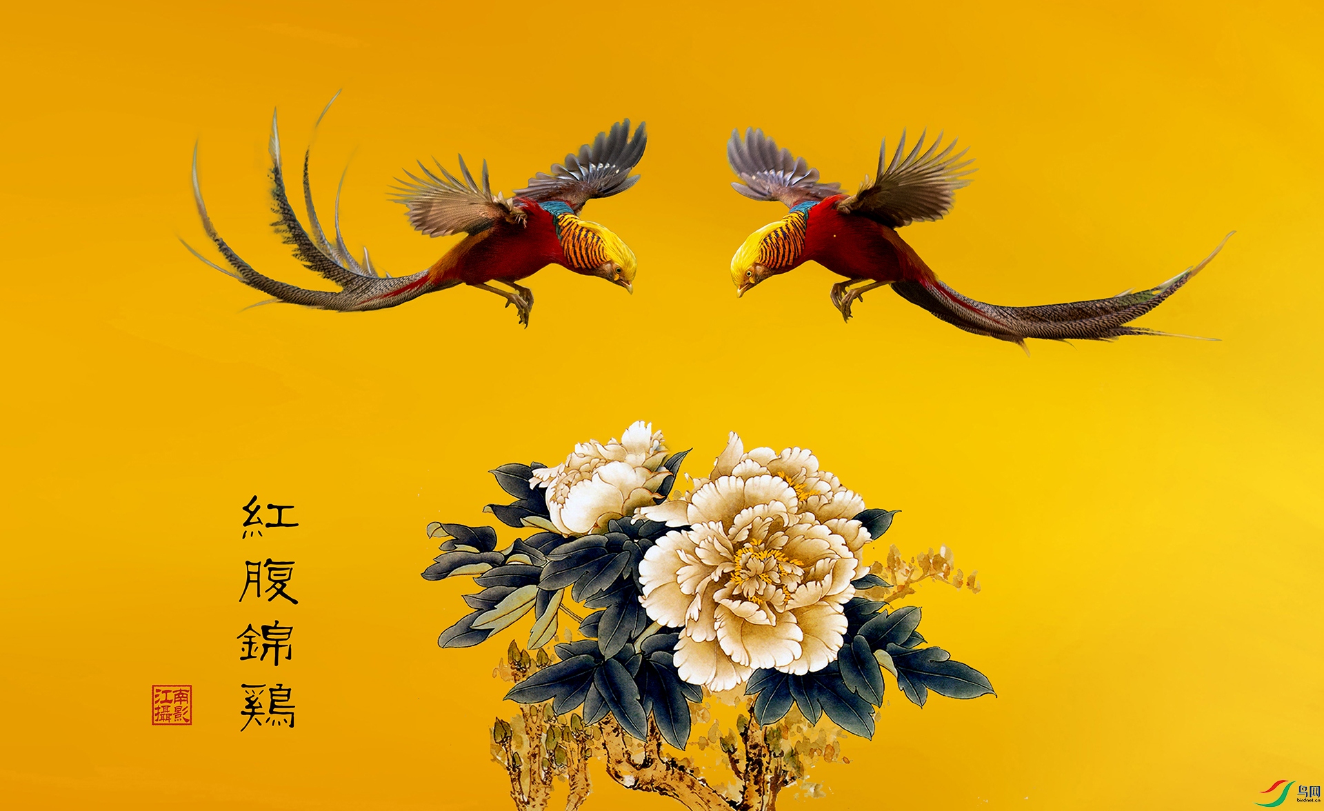 �츹����-1-1.jpg