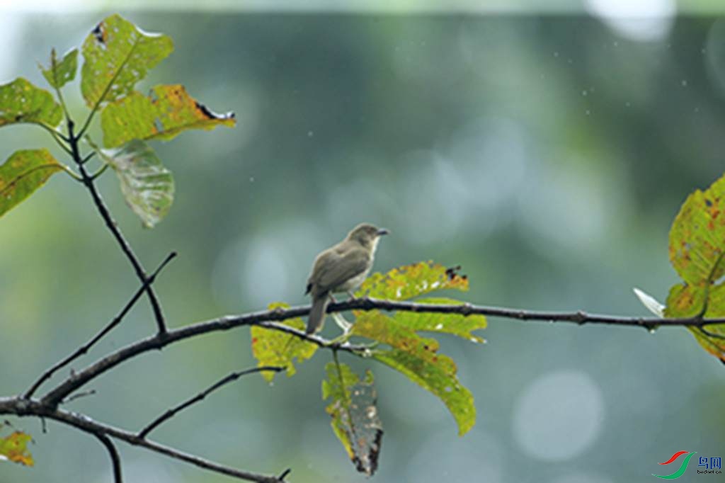 103.jpg