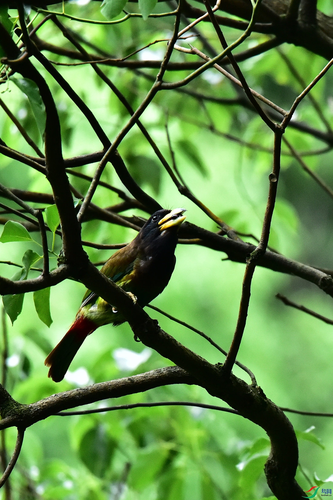 DSC_0613.JPG