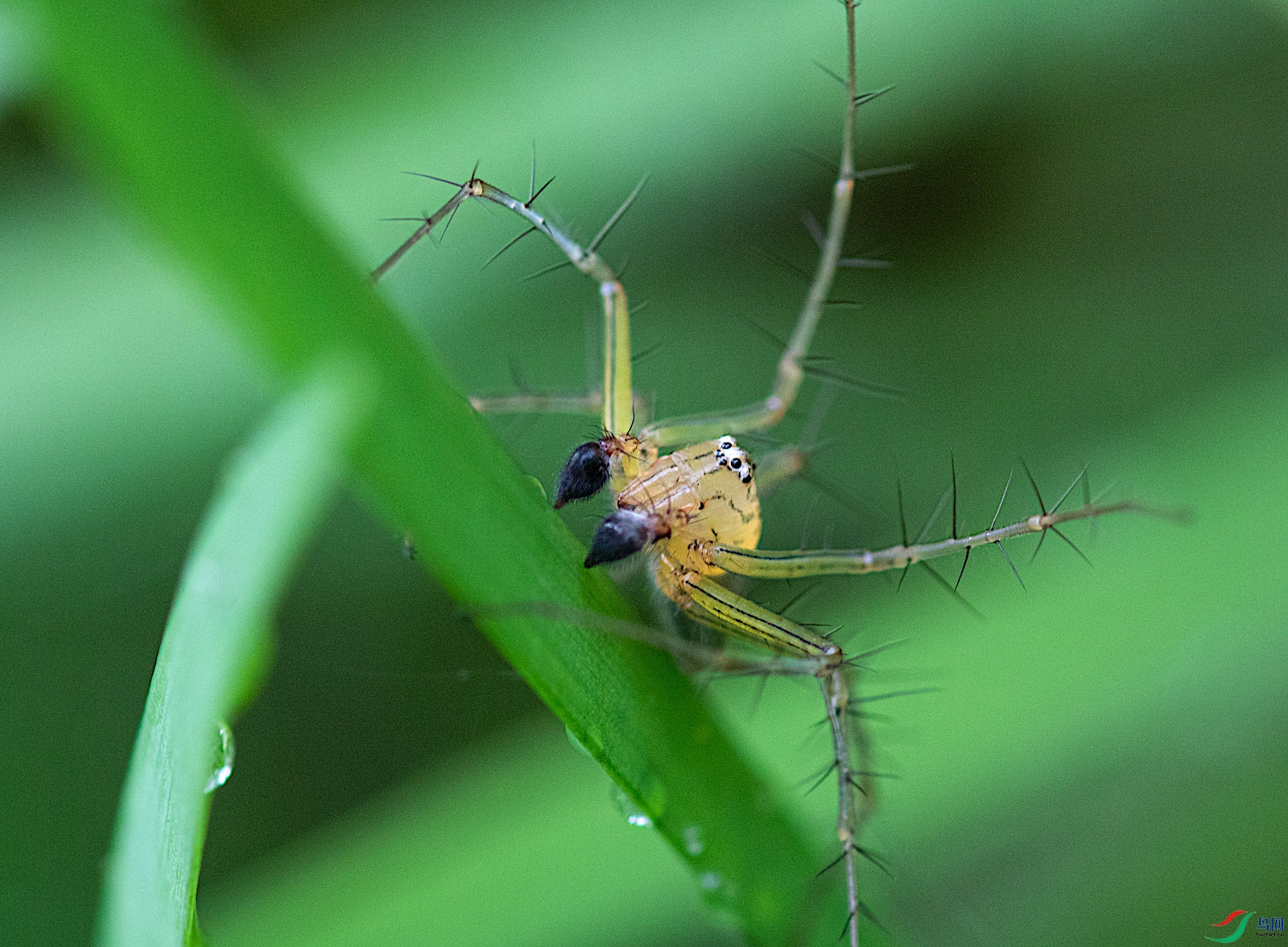 DSC_5190.jpg