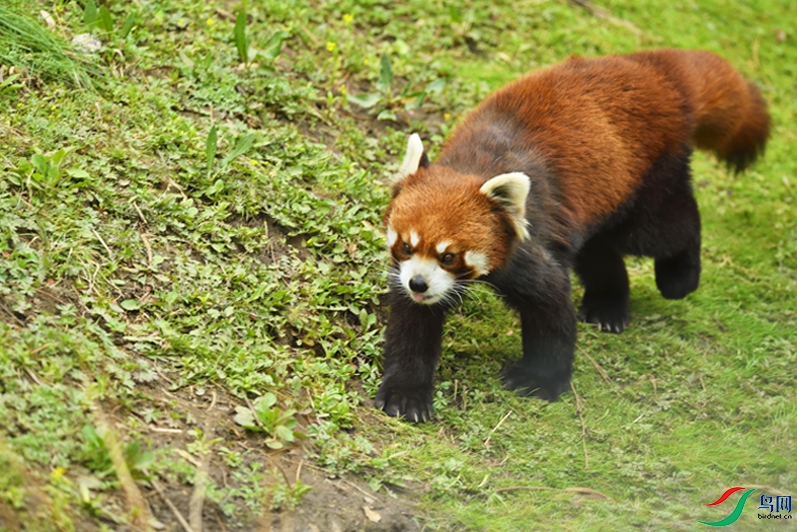 _DSC0685_00001-01-P-2.jpg