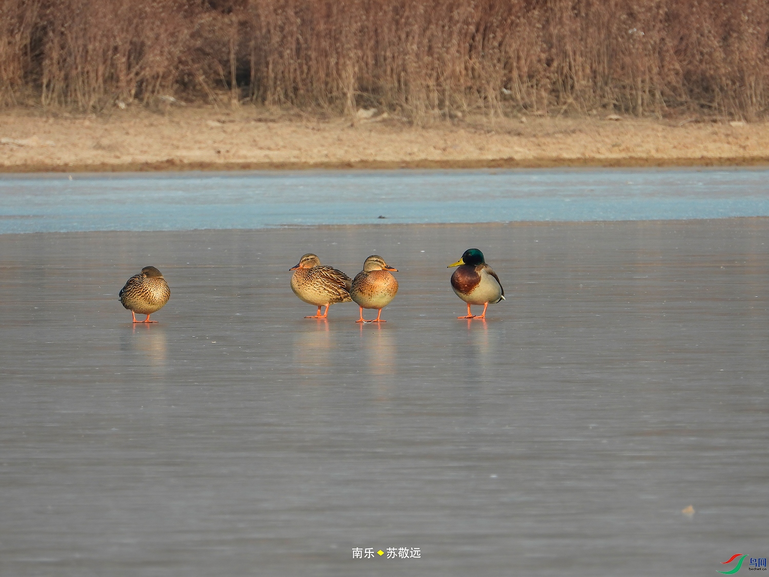 DSCN9838СС.jpg