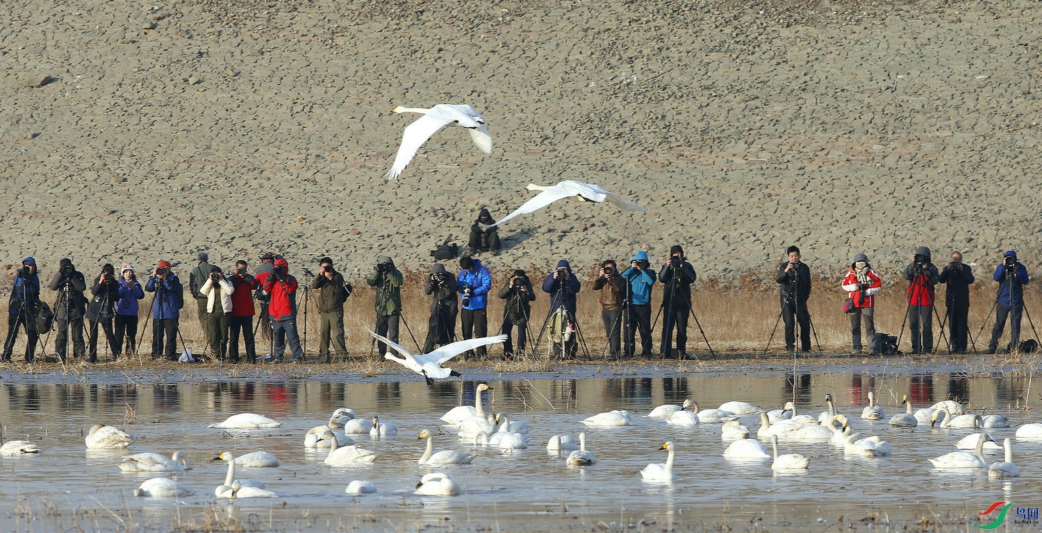 ��Ƭ 215 =��.jpg