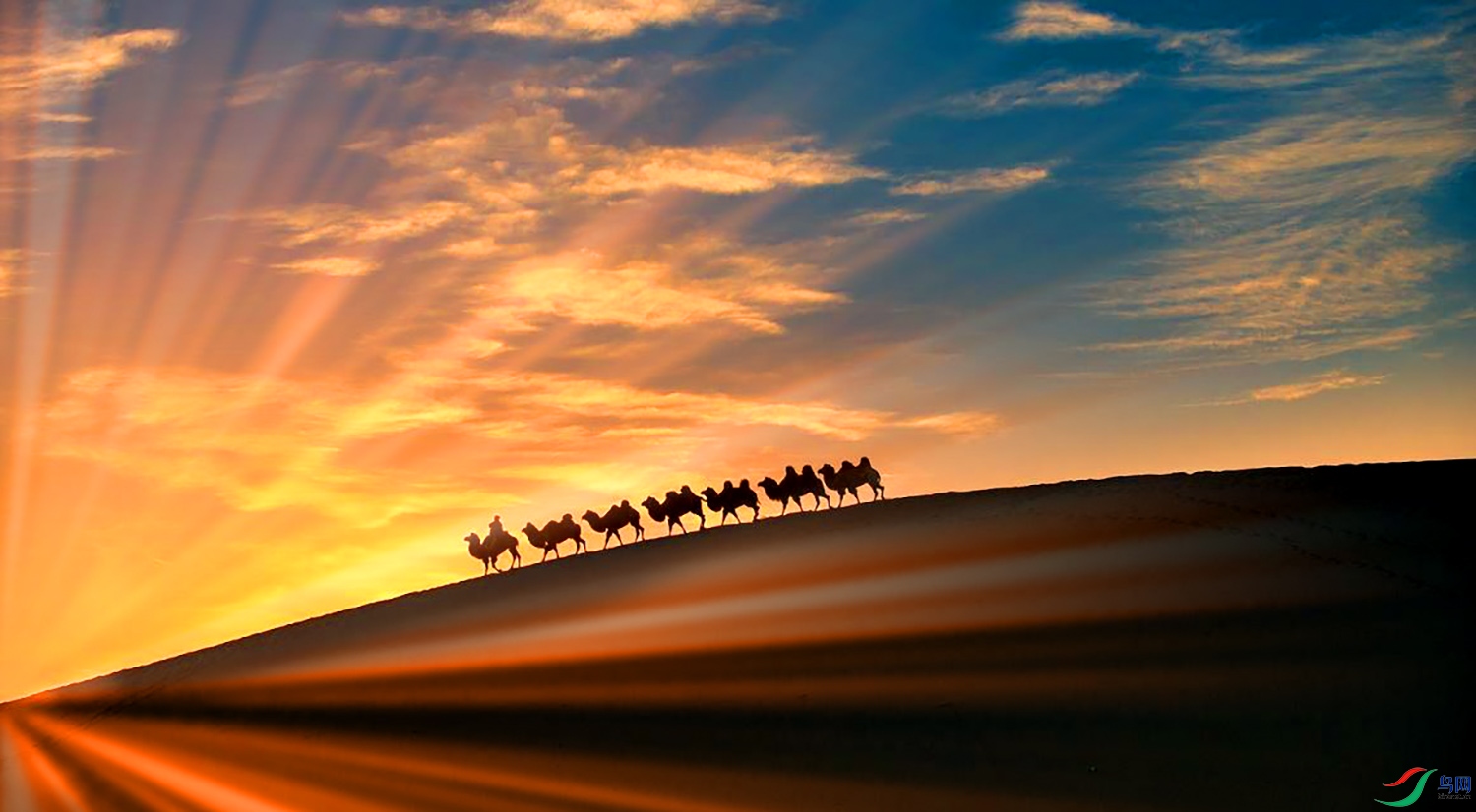 远处传来驼铃声(祝贺吉林大漠胡杨老师荣获首页综合精华)