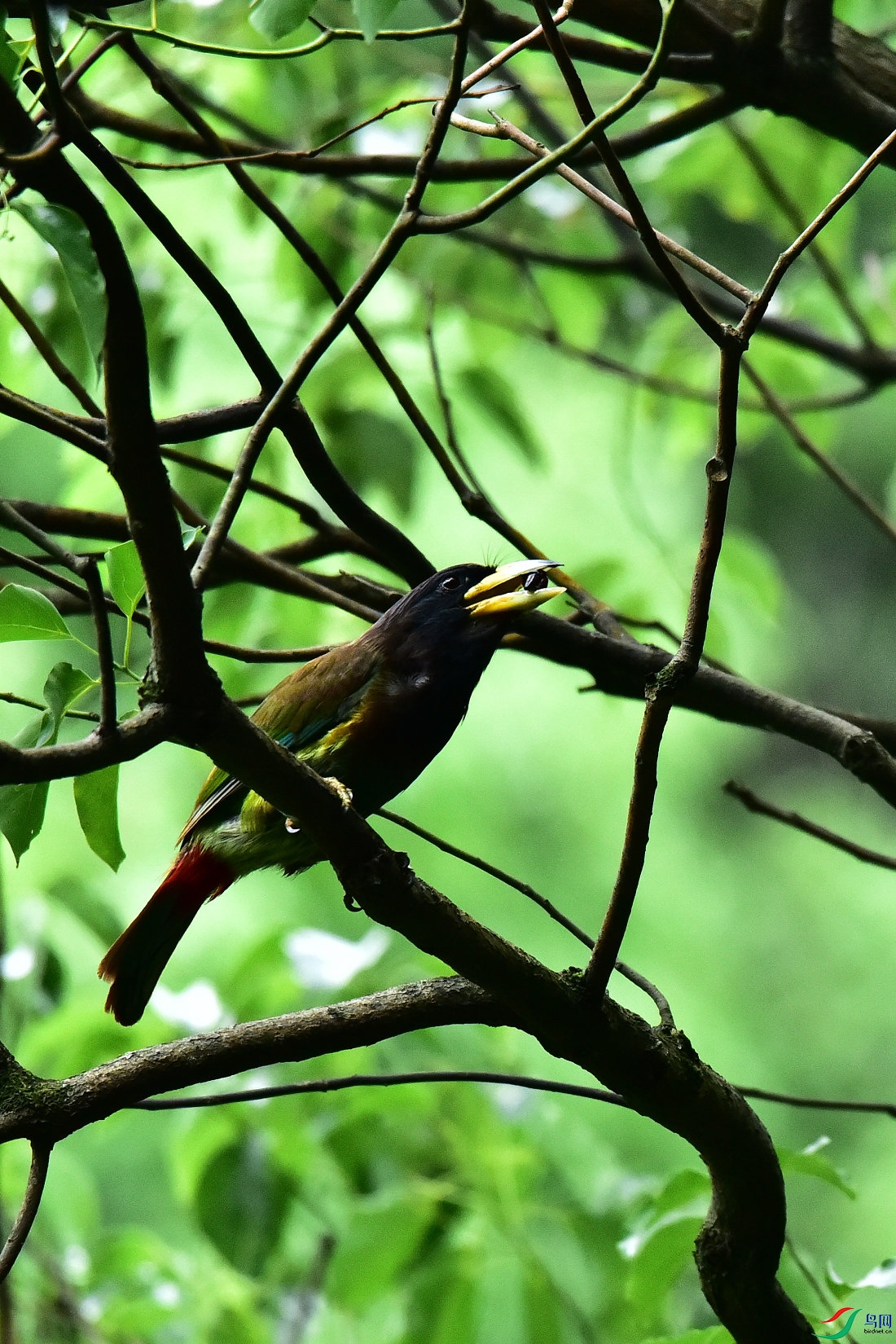 DSC_0615.JPG