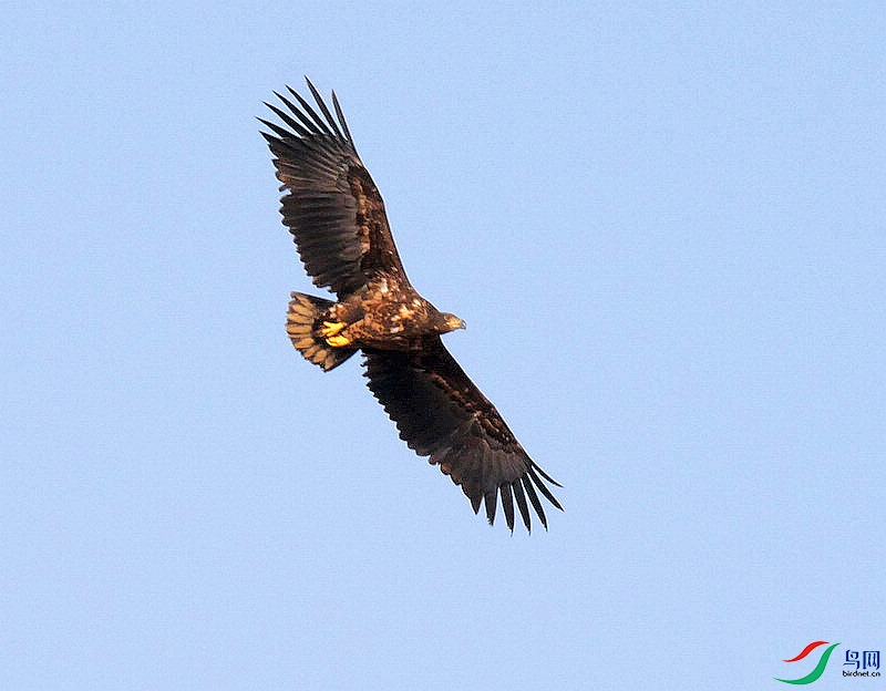 P5960542 - ����.JPG