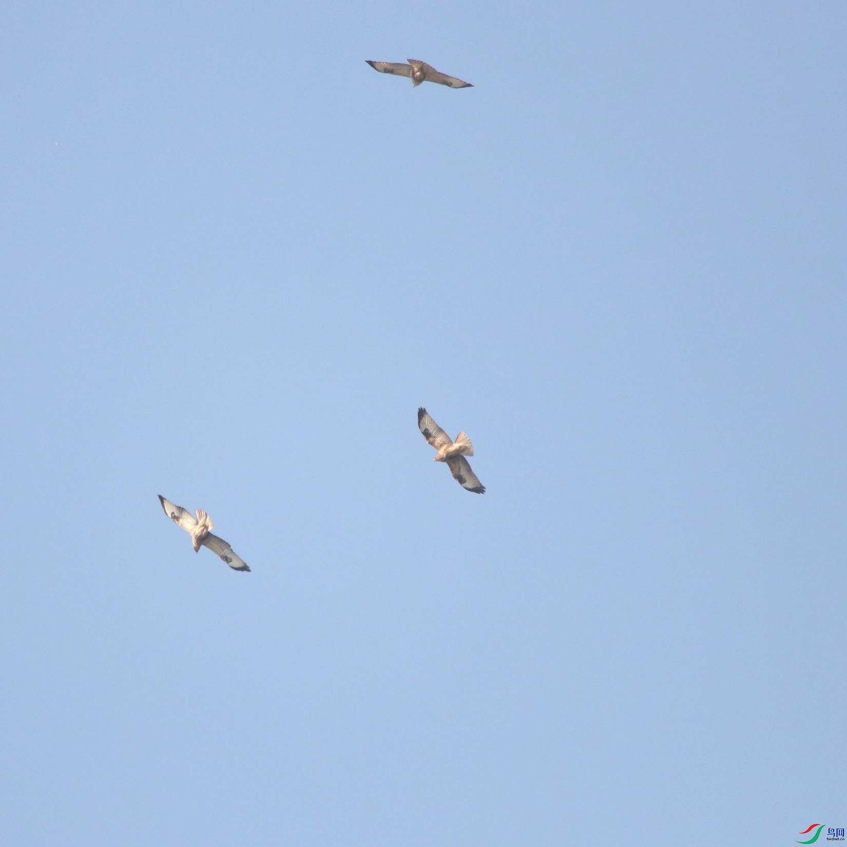 IMG_7263.JPG