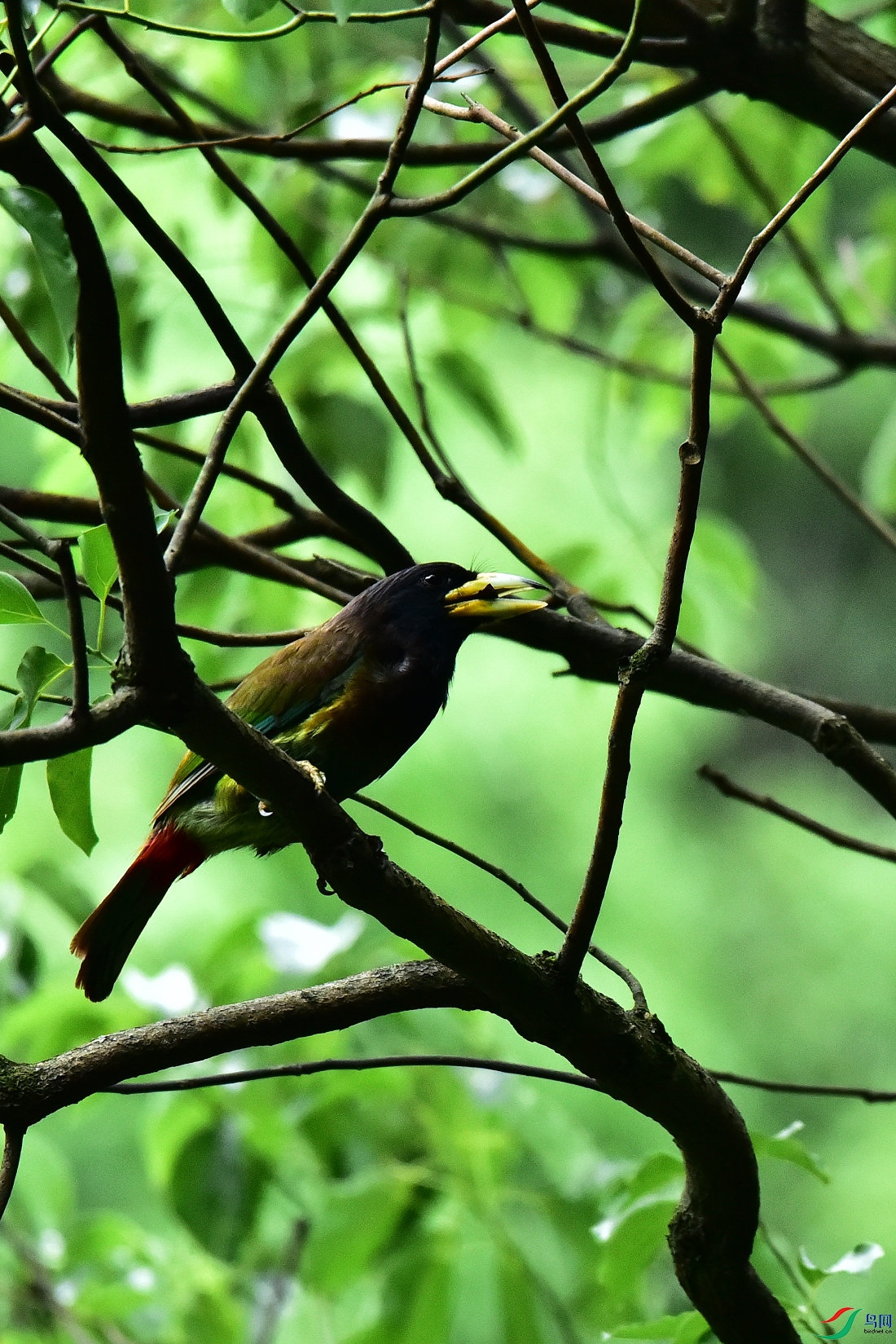 DSC_0616.JPG