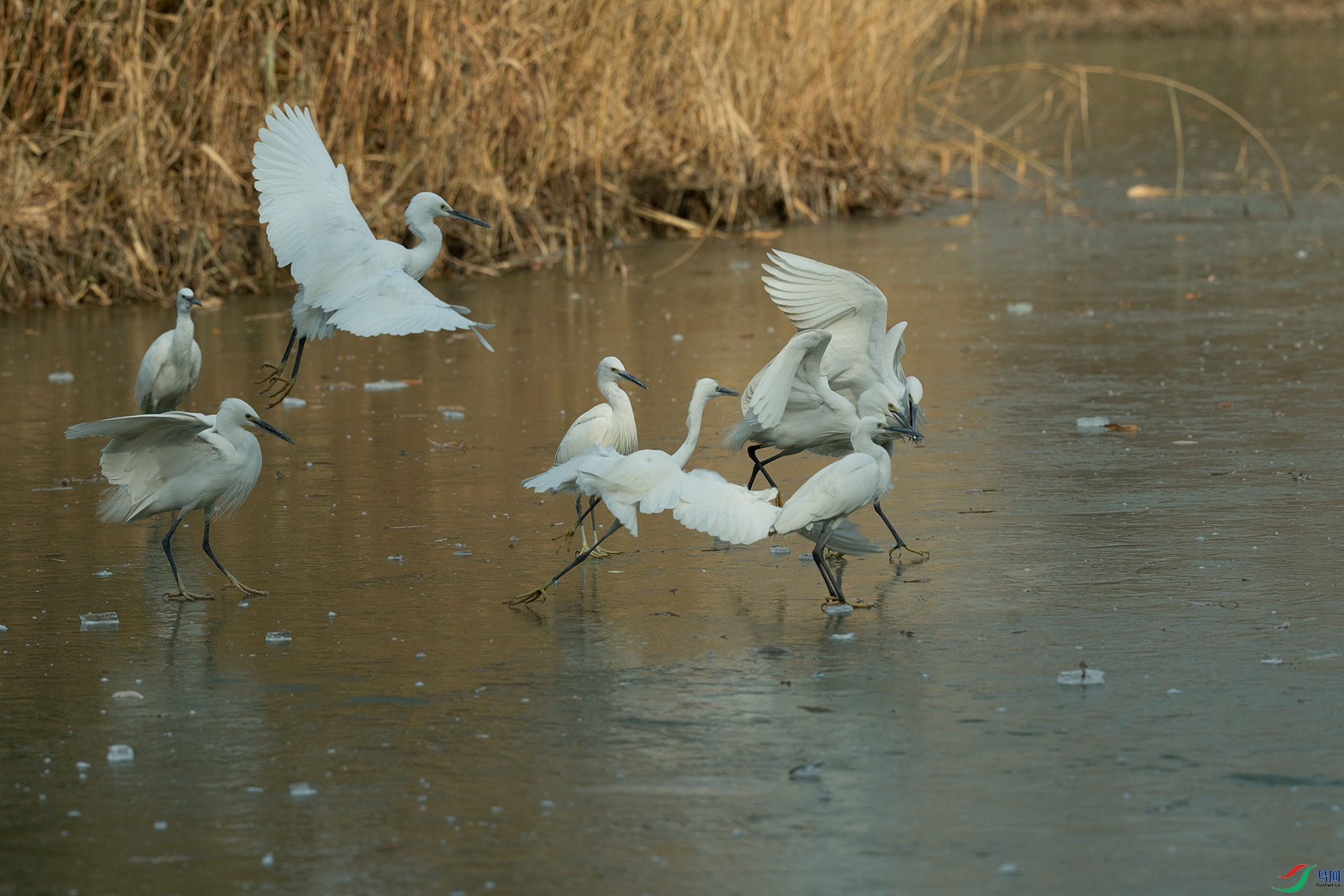 DSC_2552a.jpg