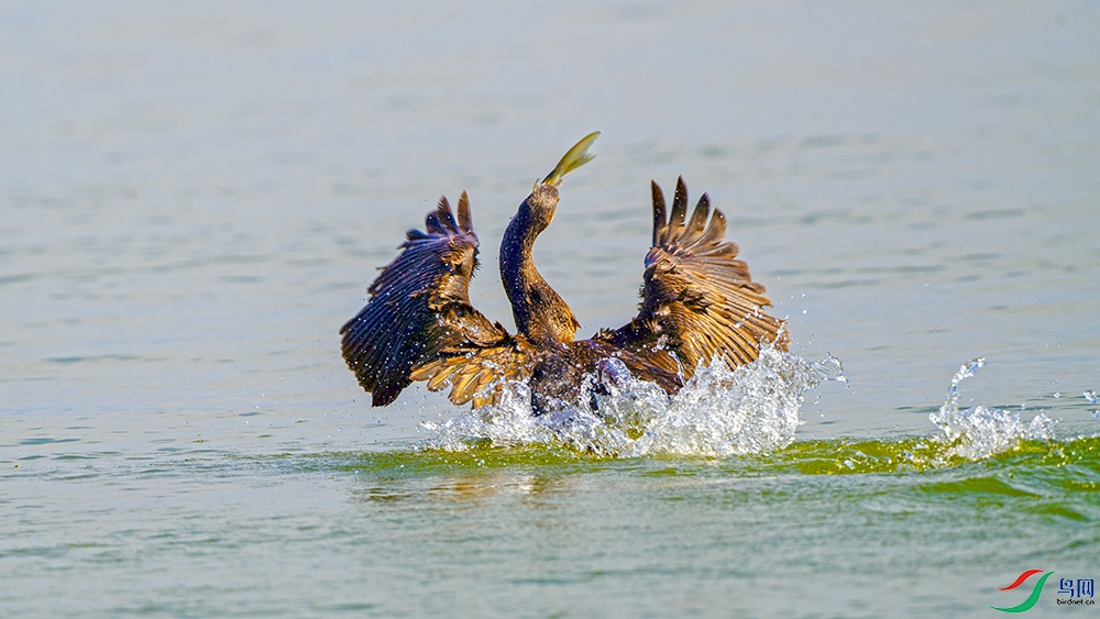��DSC_2854.jpg