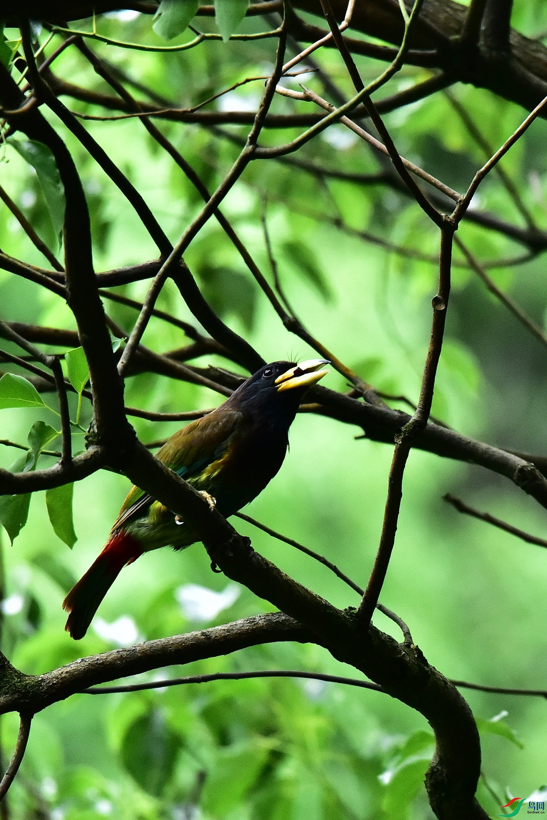 DSC_0617.JPG