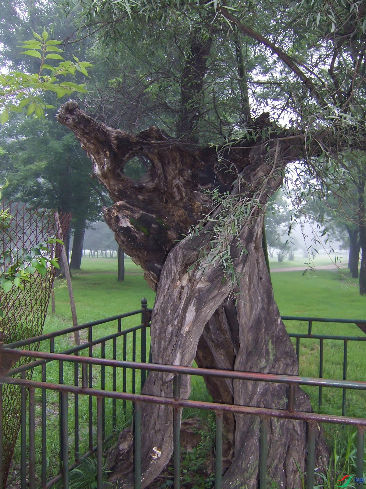 DSCF1586.jpg