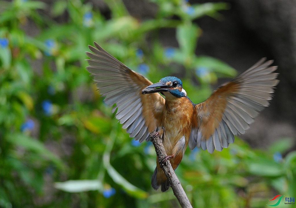 1DSC_0349  1_����.jpg