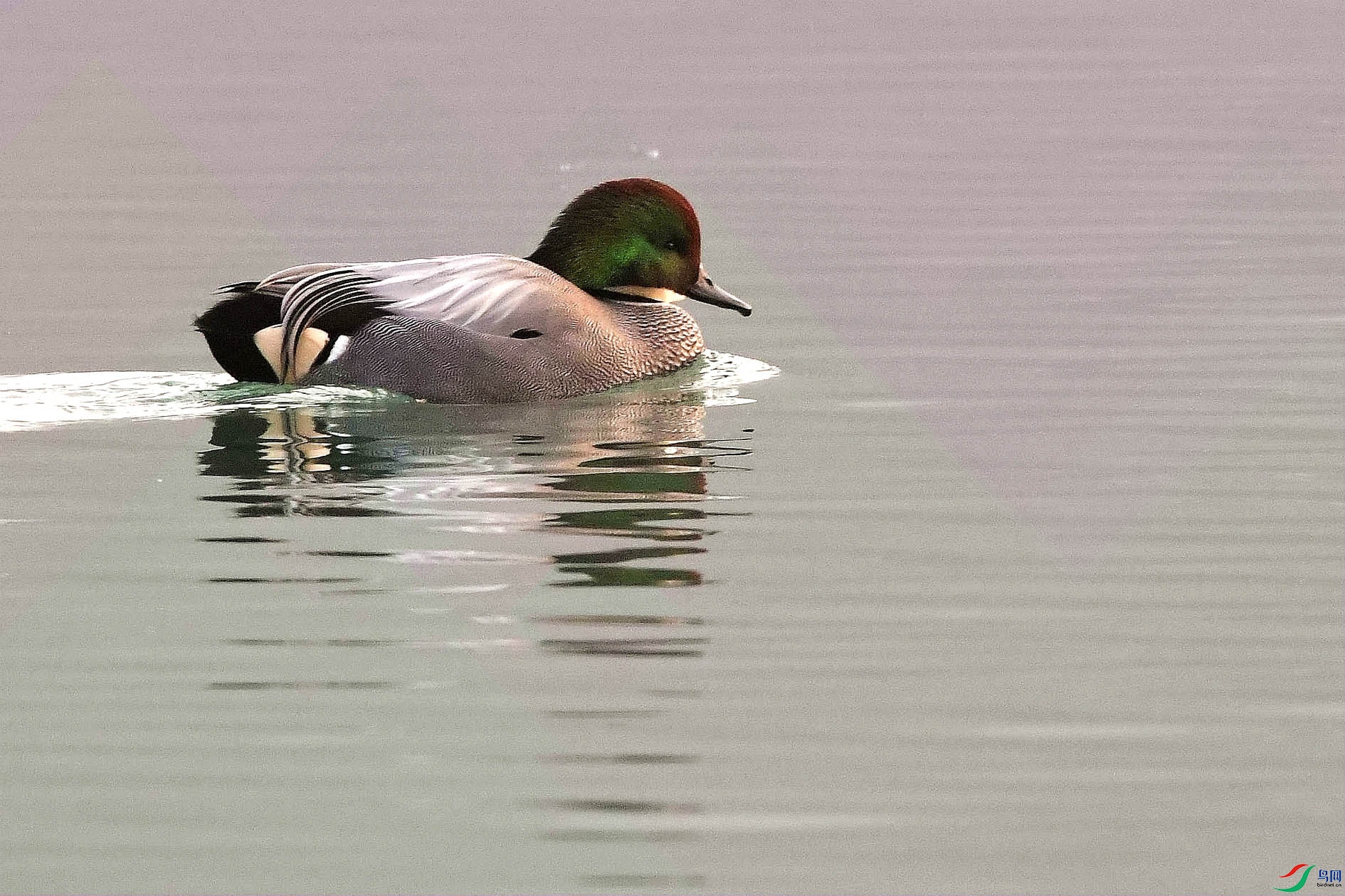 DSC_9820_����.jpg
