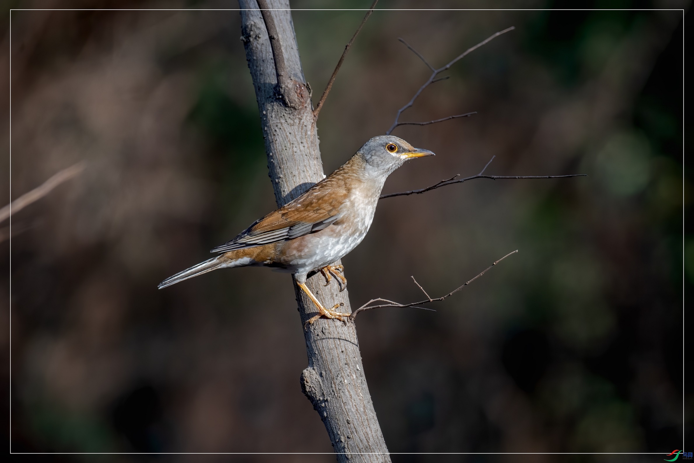 DSC_3287.jpg