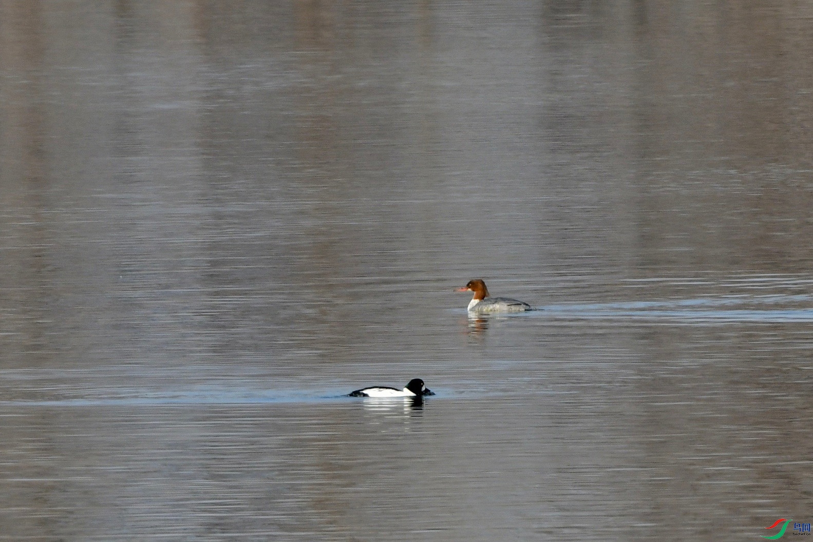 DSC_8198.jpg