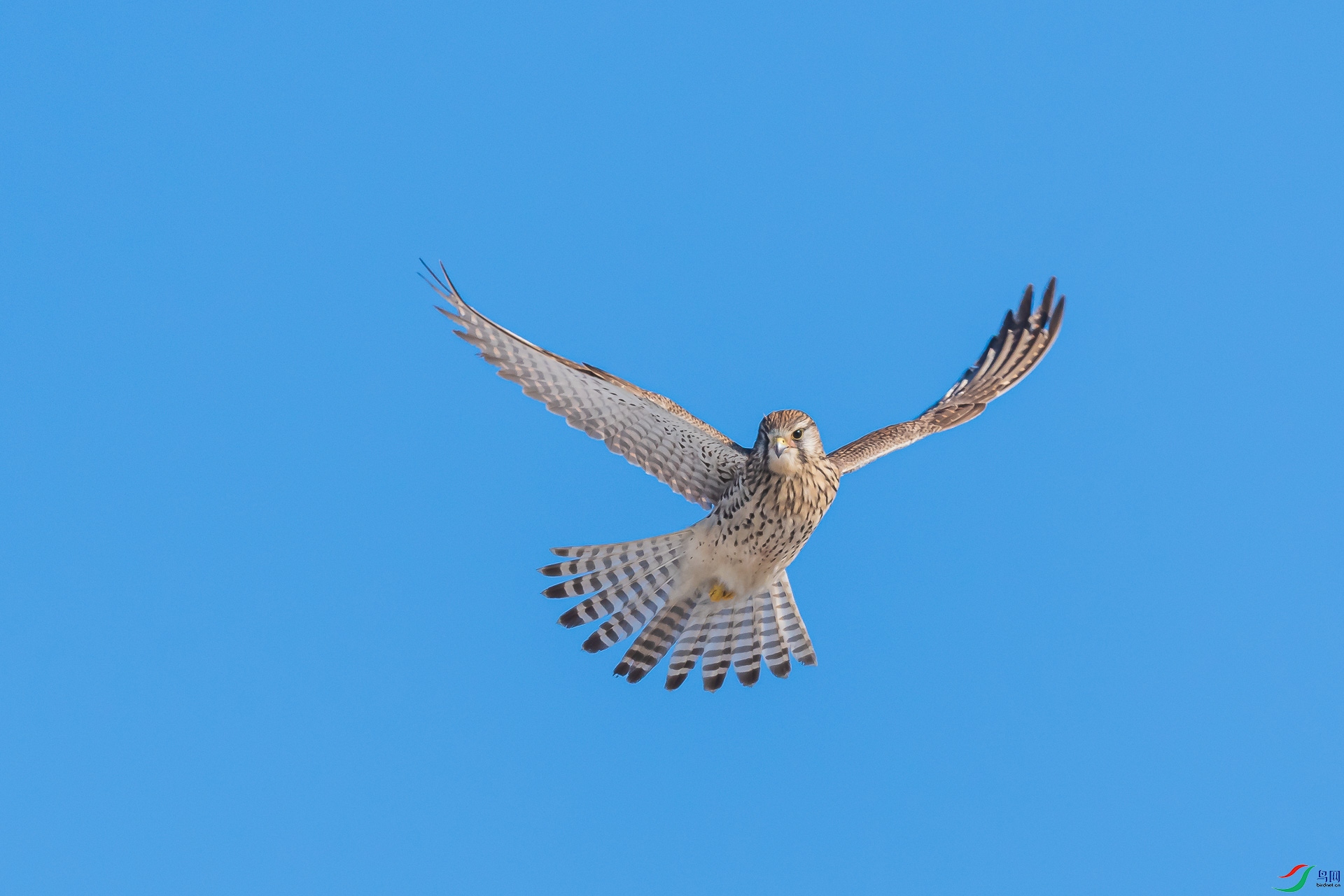 DSC_4048.jpg