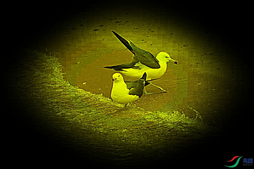 BW6I2801_����_����.jpg