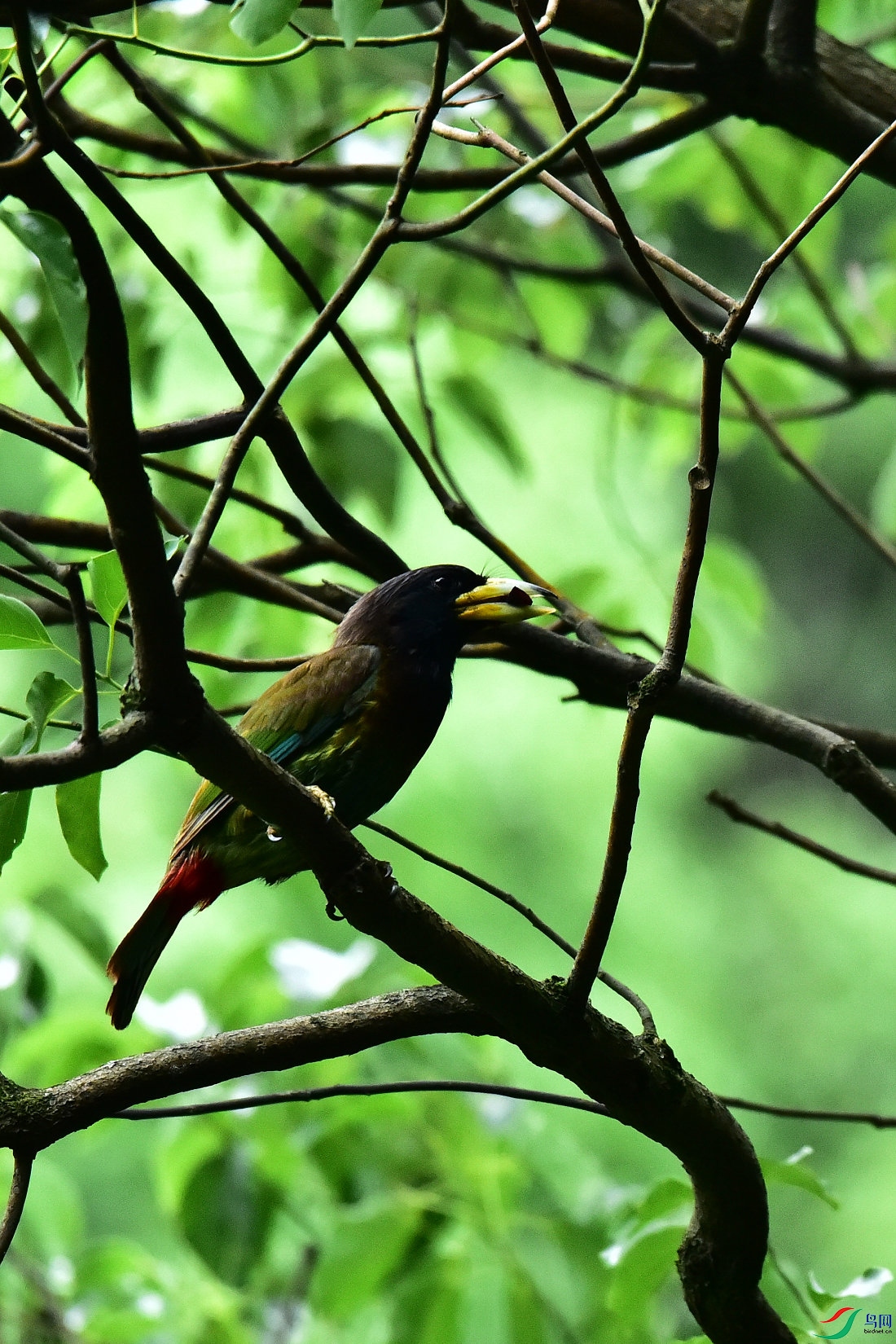 DSC_0619.JPG