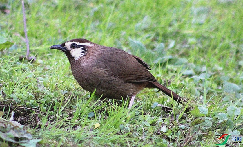 IMG_0097.jpg