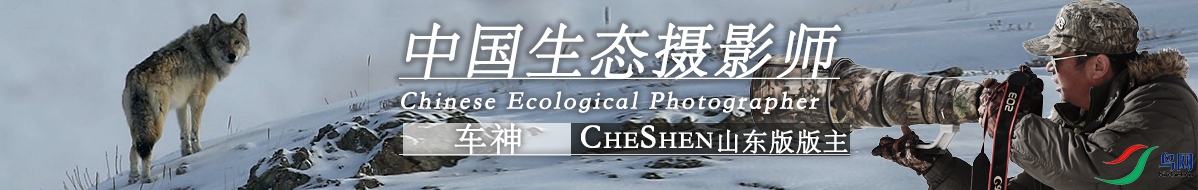 ΢��ͼƬ_20210113183030.jpg