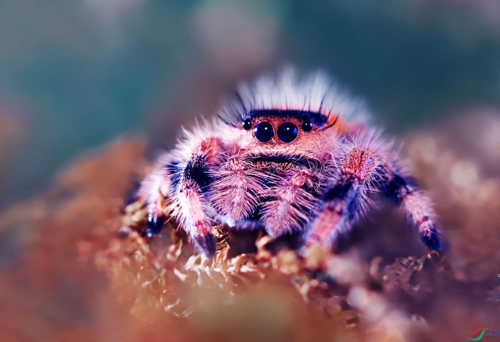 DSC_1666 ��������.jpg