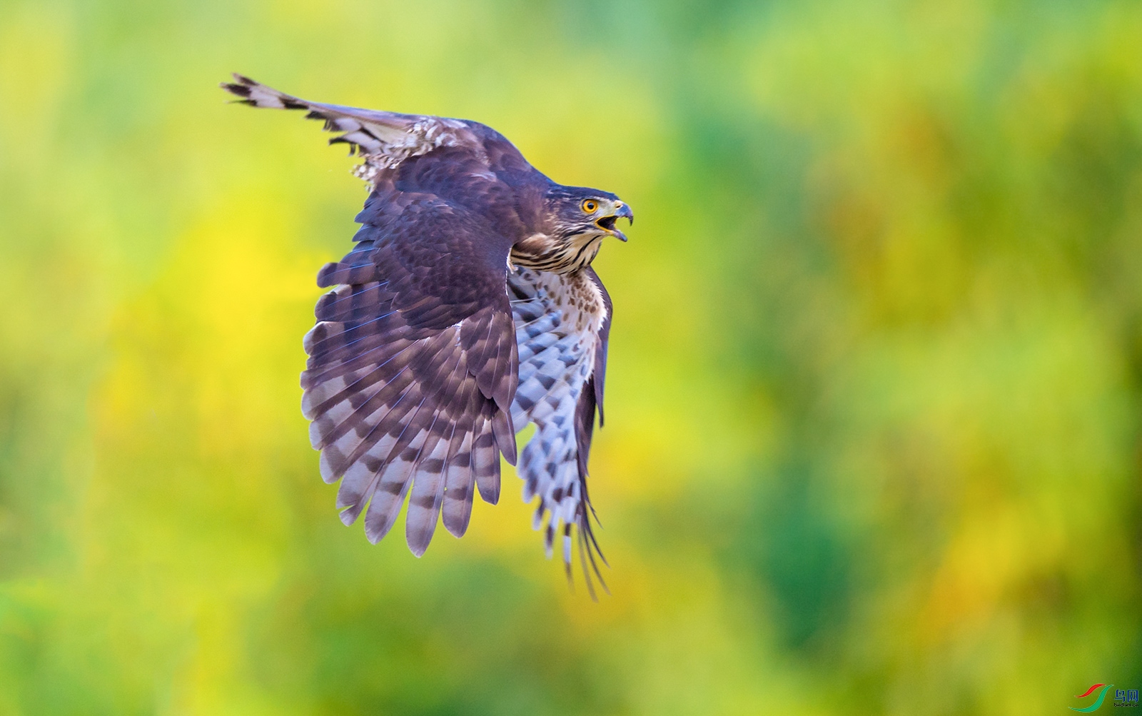 _DSC2473.jpg