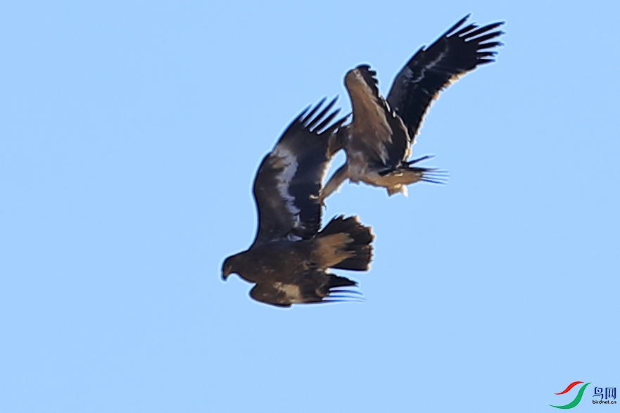 mmexport1610538120133.jpg