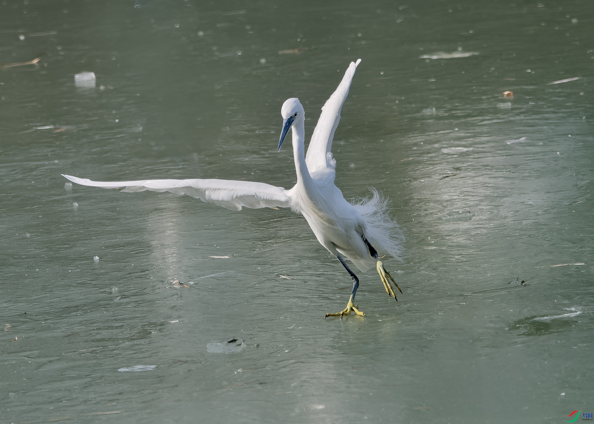 DSC_8706.jpg