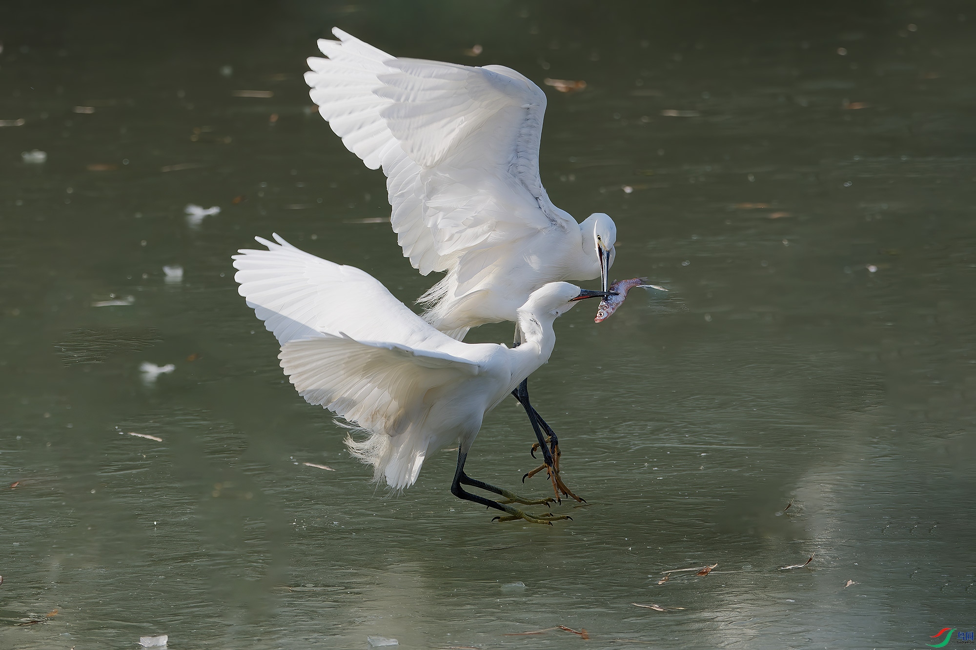 DSC_8766.jpg
