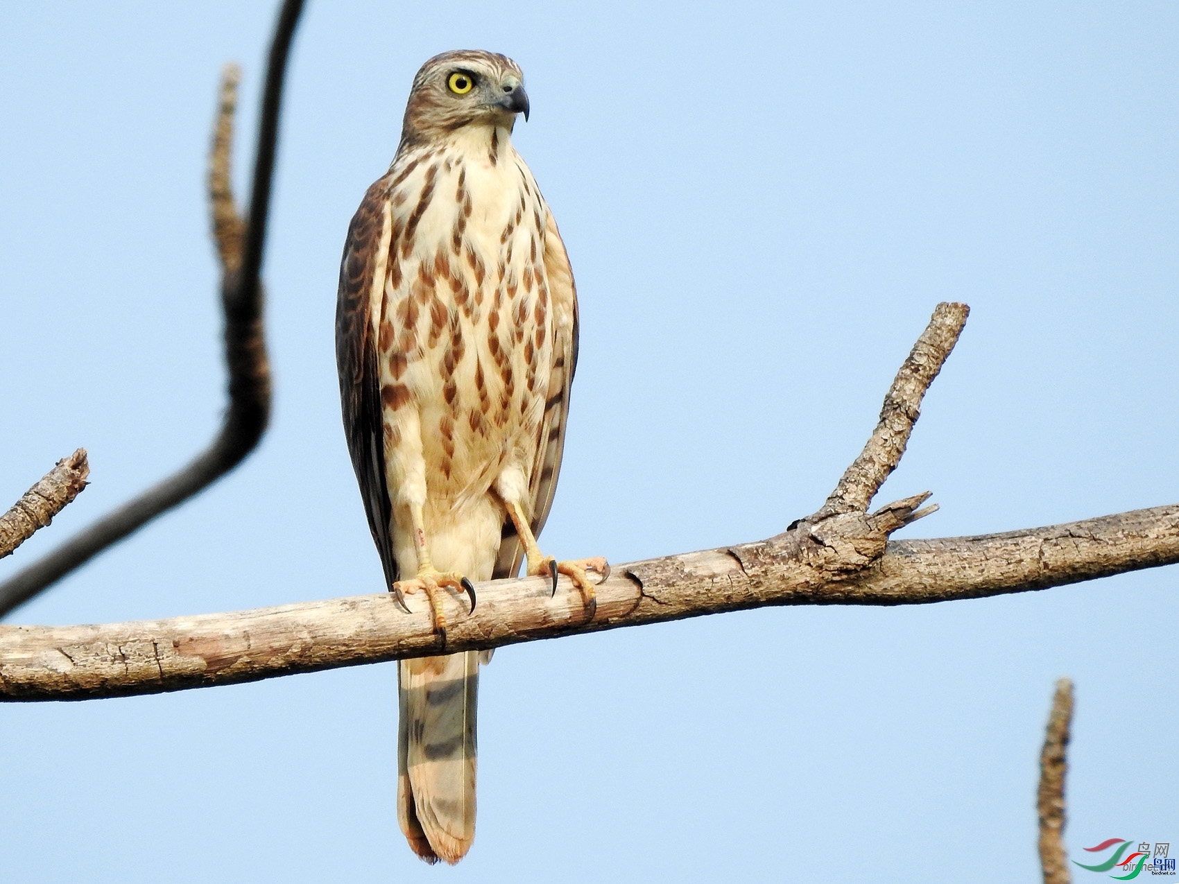 caiting  ��ʦ�����ں���ʡ������.jpg