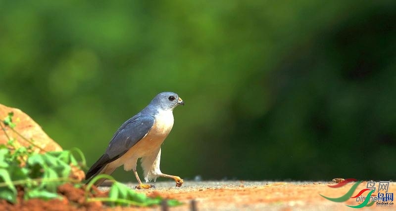 �㵴ɽ ��ʦ�����ڽ���ʡ�Ͼ��� �ֿ���.jpg