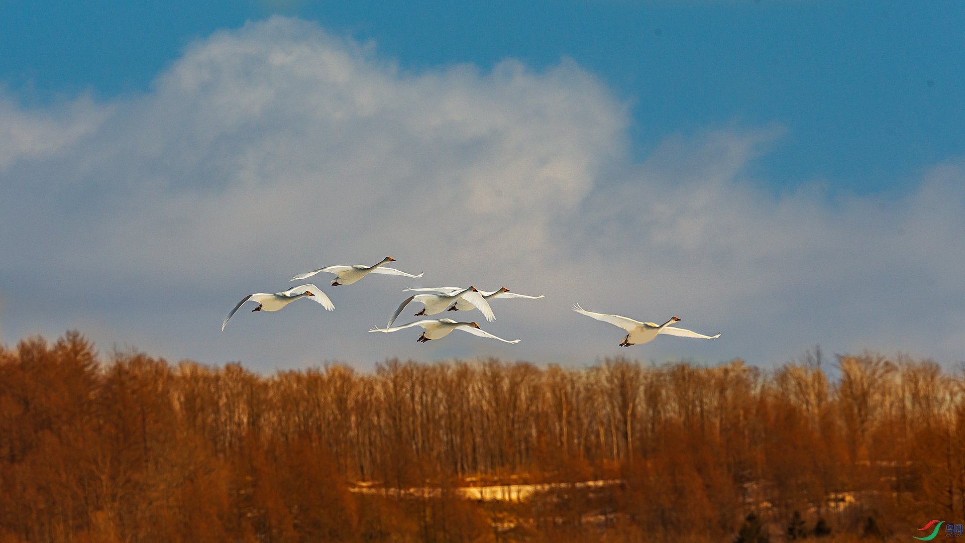 _C0R5788-1.jpg