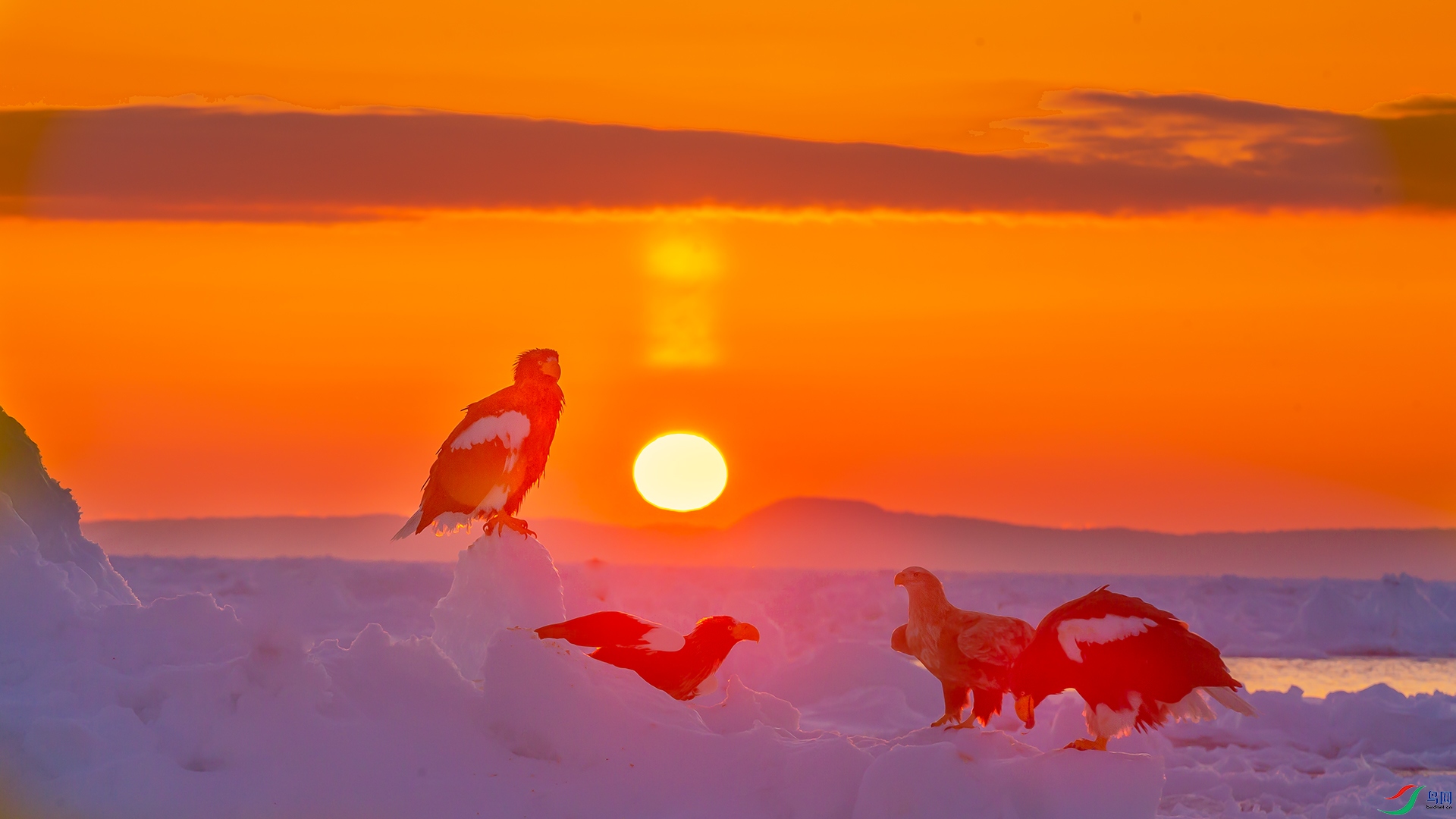 _C0R0654-1.jpg