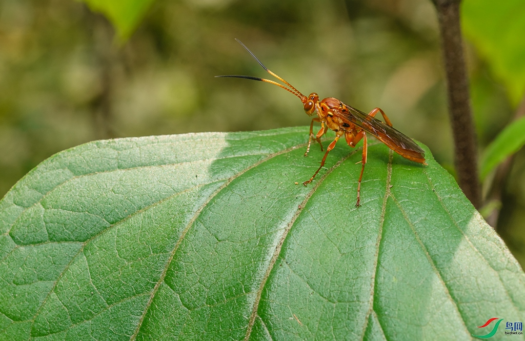 δ����-09402.jpg