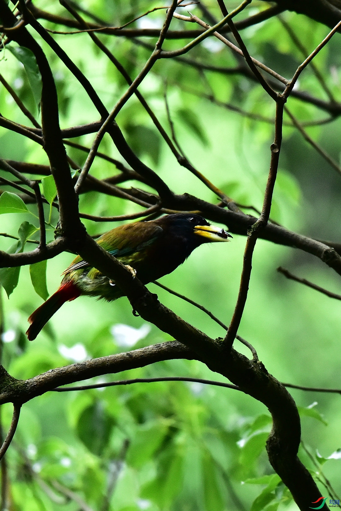 DSC_0625.JPG