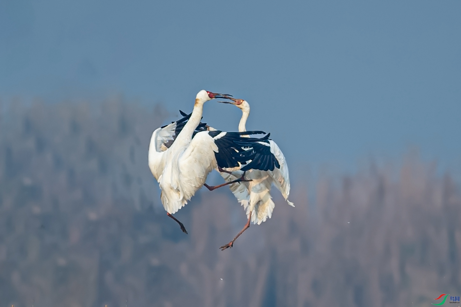 DSC_5061-1.jpg